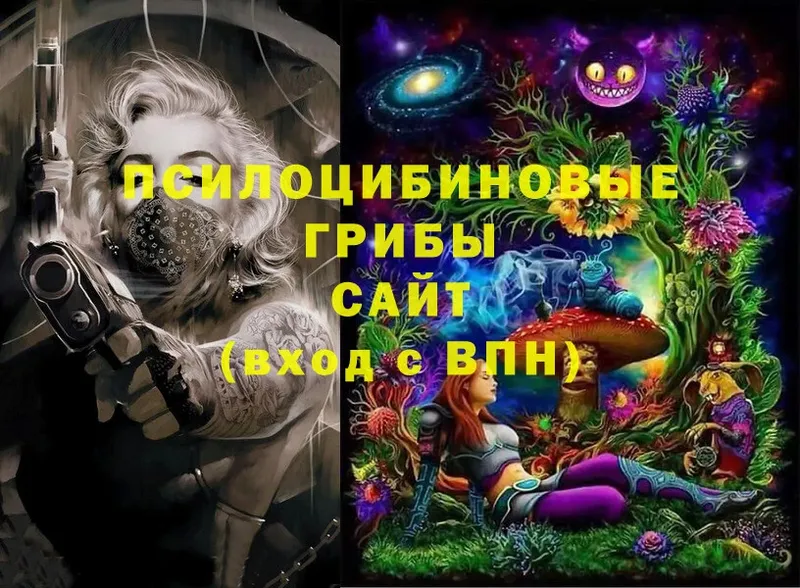 Галлюциногенные грибы GOLDEN TEACHER  сколько стоит  Беломорск 